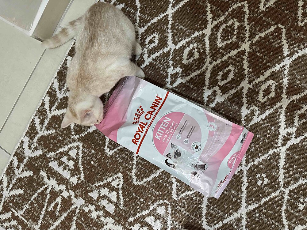 İndirime girince direk aldım. Bu satıcıdan ilk alışverişim çok korunaklı sorunsuz geldi. Minik dostumuzun severek yediği bir mama. Hızlı kargolalama ile 1 günde ulaştı. Teşekkür ederim :)