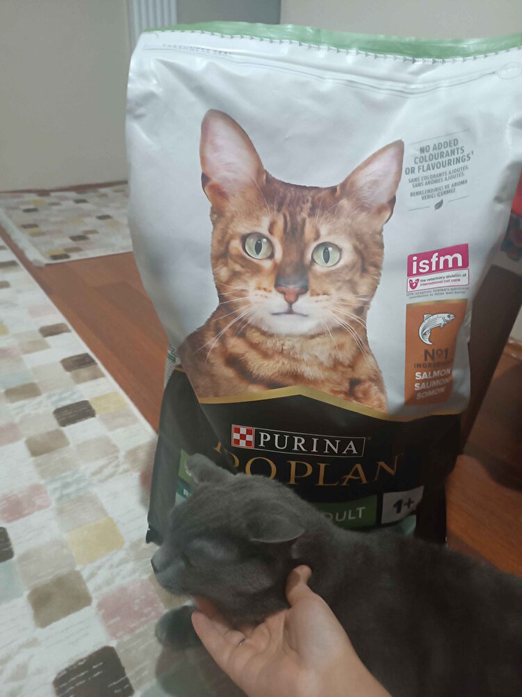 hızlı kargo paketleme güzeldi,orjinal ürün ve fiyatı uygun olsun diye toplu almak daha mantıklı geldi.Kral oğlumuza şifa olsun ☺️