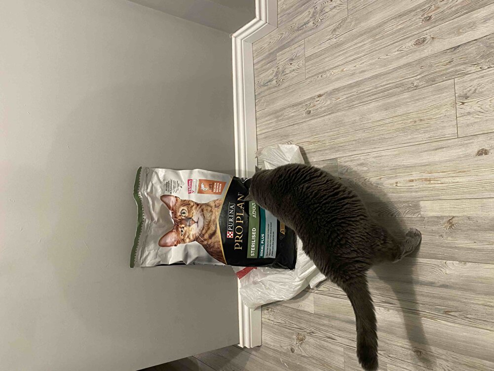 Sürekli kullandığımız mamadır. Skt: 2025. Tavsiye ediyorum