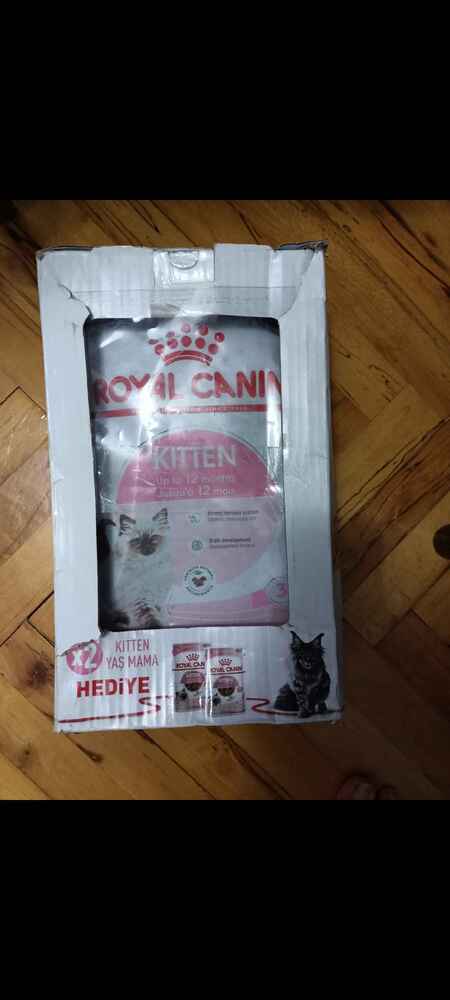 bizim çocuk İngiliz Van veya Ankara kırması. çocuk severek yiyor. kısa sürede geldi