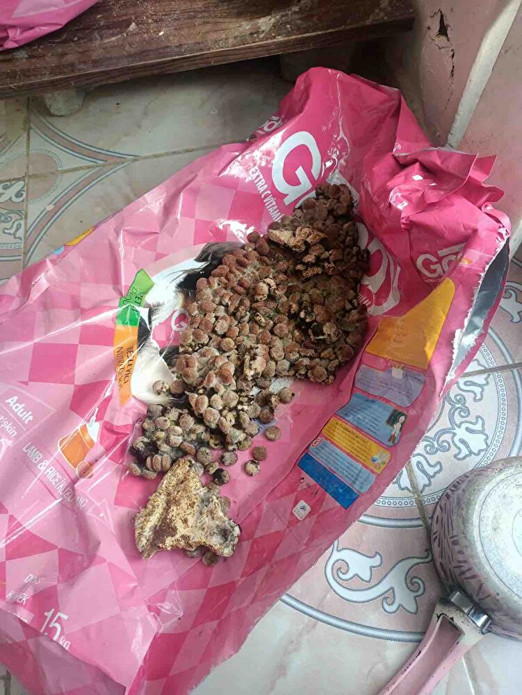 Satıcıdan daha sonra aldığımız üründe böyle bir sorunla karşılaştık değişim istemek için satıcı ile iletişime geçtiğimizde eşime resmen küfür ve hakaretlerde bulundu dava edeceğiz şikayetçiyiz trendyolun bu gibi seviyesizlerle çalışması ne kadar  kötü 5 yıldız veriyorum ki öne çıksın yorumum kimse bu satıcıdan alışveriş yapmason