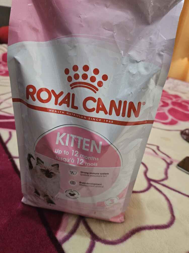 kedimin düzenli olacak yediği mama gönül rahatlığıyla alıyoruz