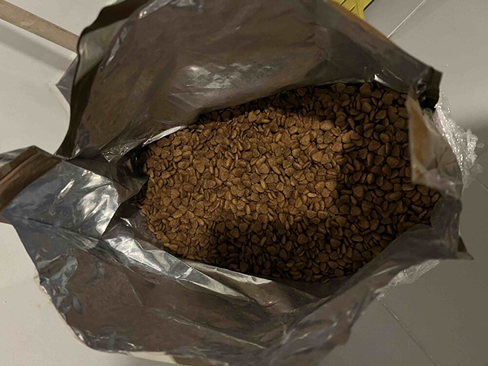 Hızlı sipariş hızlı kargolama yapıldı sokak kedilerim için alıyorum severek giyiyorlar sağlam geldi teşekkür ederim iyi satışlar 💐🌸