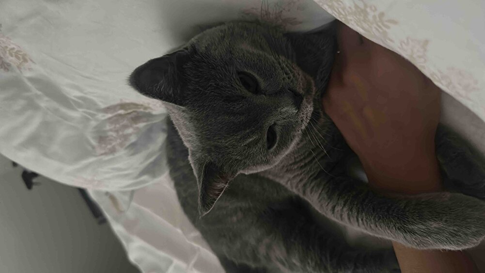 Şu güzelliğe her şey değer.