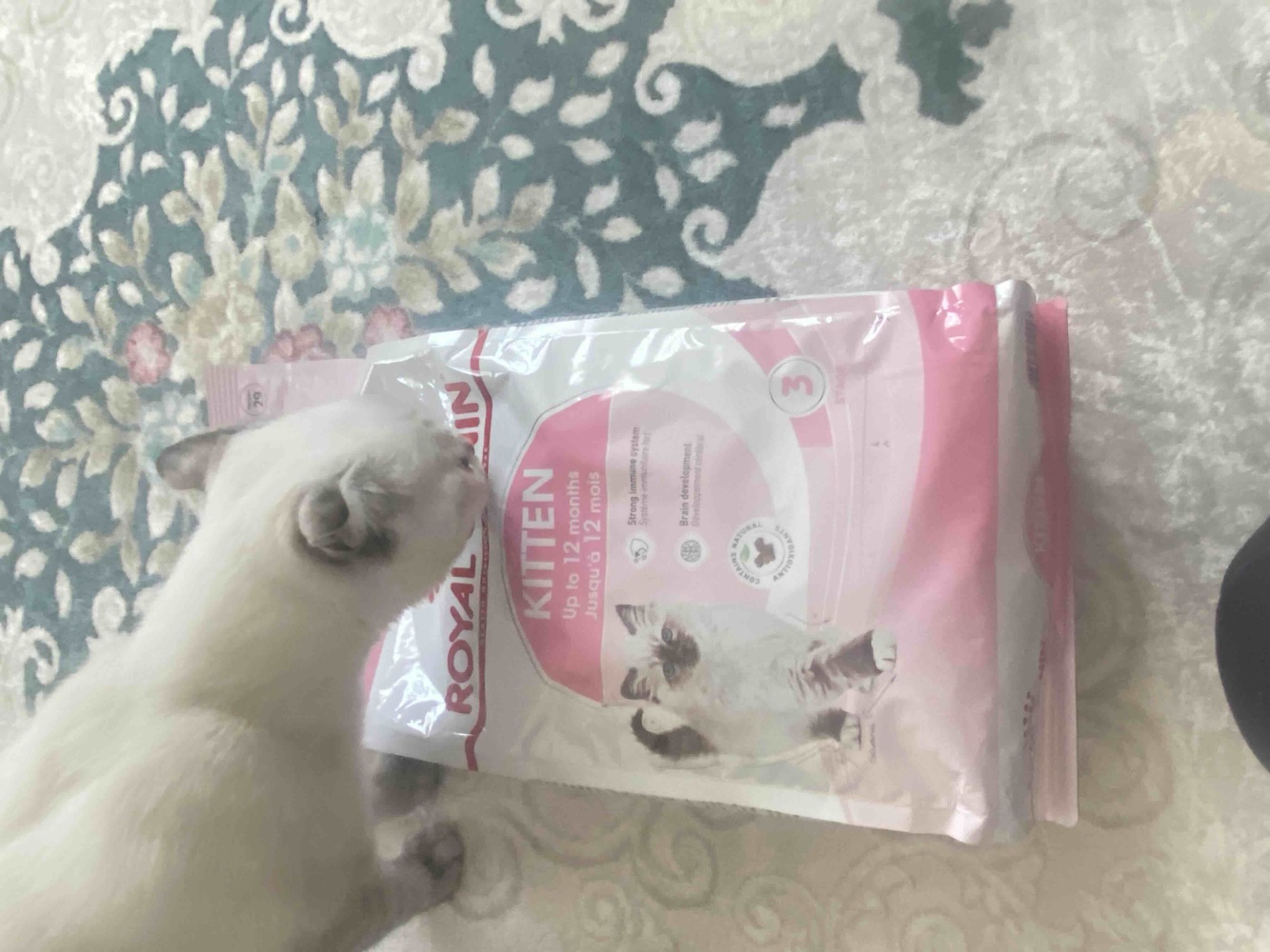 Kargo paketleme sorunsuzdu ürün zaten sürekli kullandığım bir ürün kedişim çok seviyor ayrıca kokusu yok diğer mamalar gibi kokmuyor