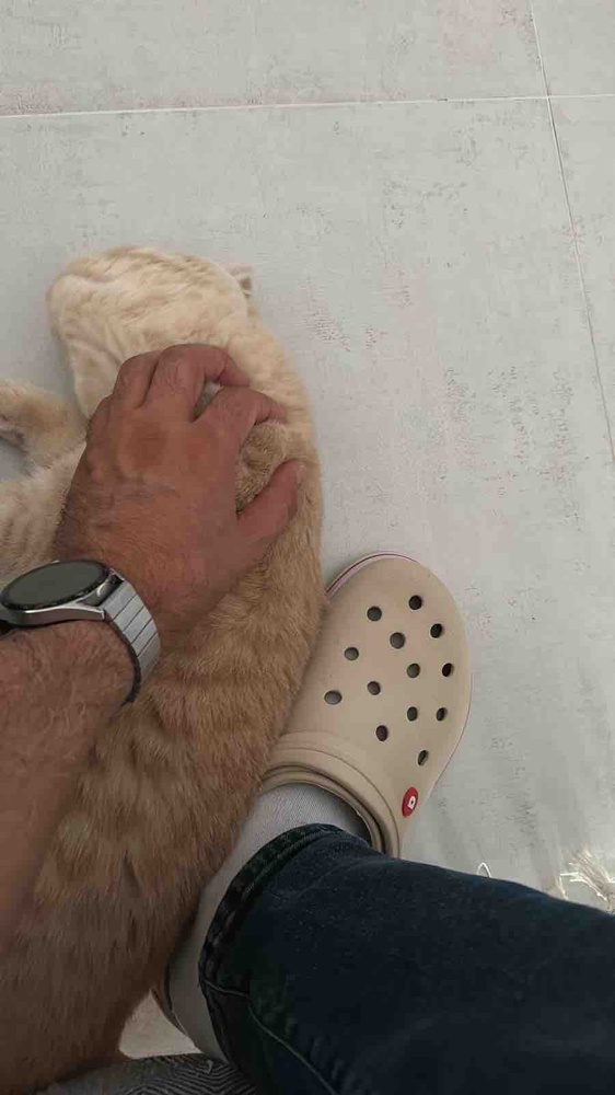 Bebeklerimiz bayılarak yiyor