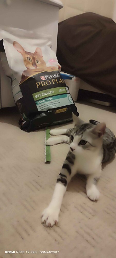 mamamız geldi pozumuzu da verdik teşekkürker