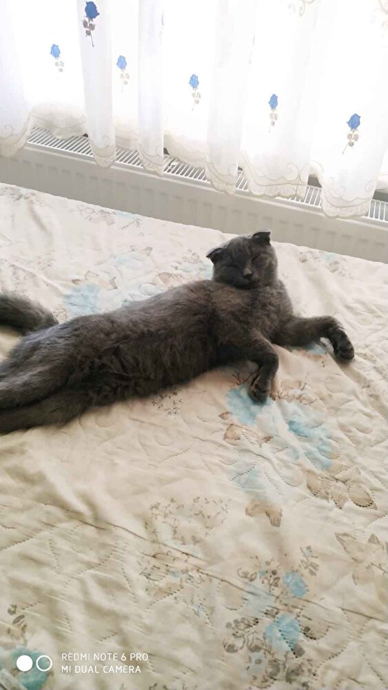 kızımın en sevdiği mama