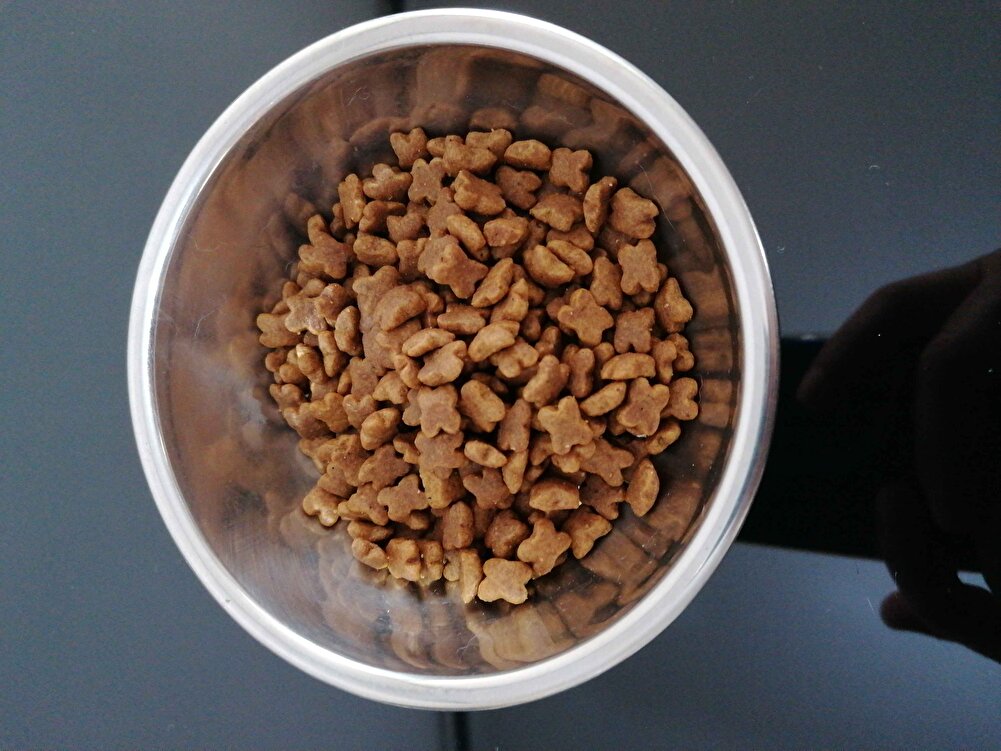 Sorunsuz elime ulaştı