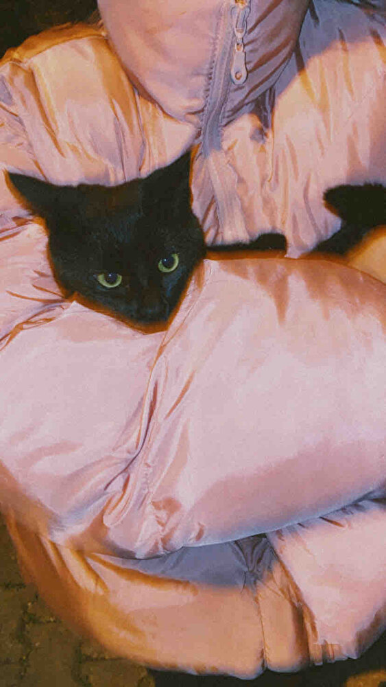 Yıllardır kullanıyorum kedilerm çok beğeniyor hem evdeki hem dışardaki kedi ve köpekler bayılarak yiyor