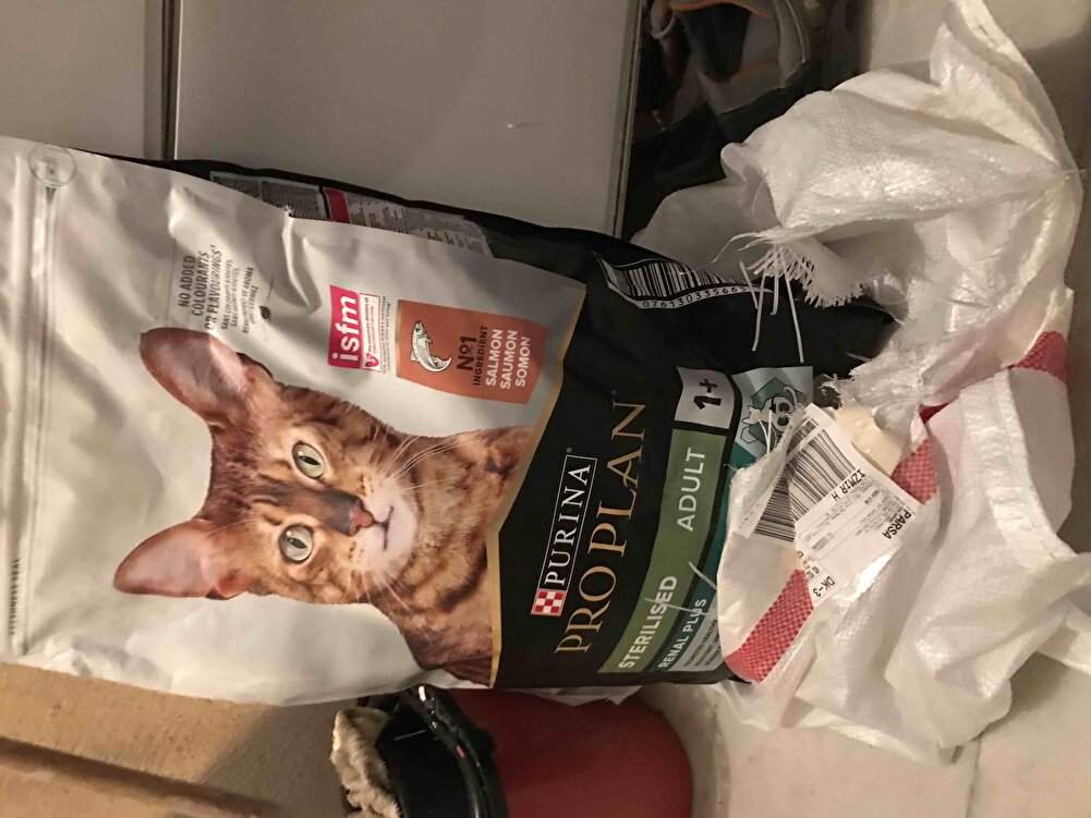 Taş gibi geldi çok teşekkürler hem fiyat olarak petshoplara göre daha uygundu hem de çuvalın içinde sapa sağlam geldi yorumlardan dolayı tereddütte kalmıştım ama çok iyi tarihte 2025