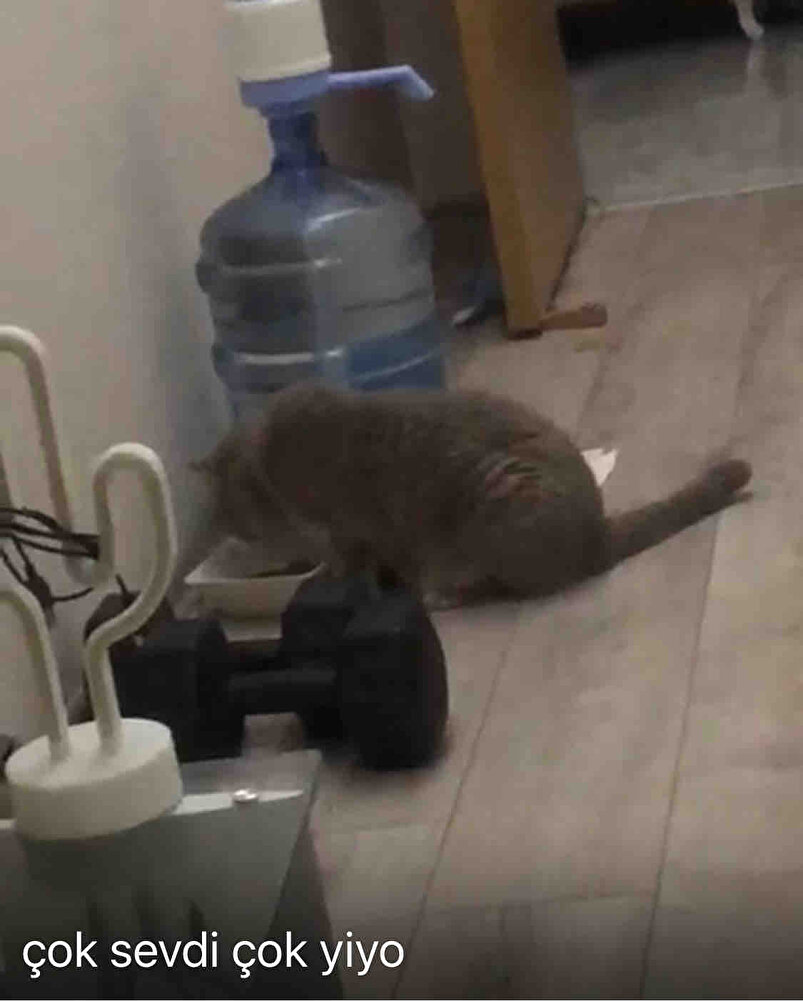 Sonunda mutlu oldu 👍