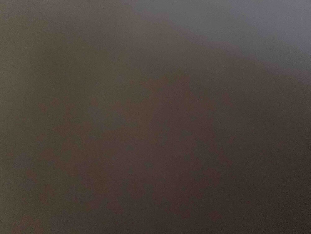 Kedilerimiz bayılıyor sağ olun