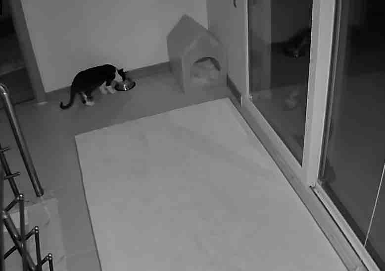 Sürekli bu mamayı yiyoruz çok da seviyor kızım