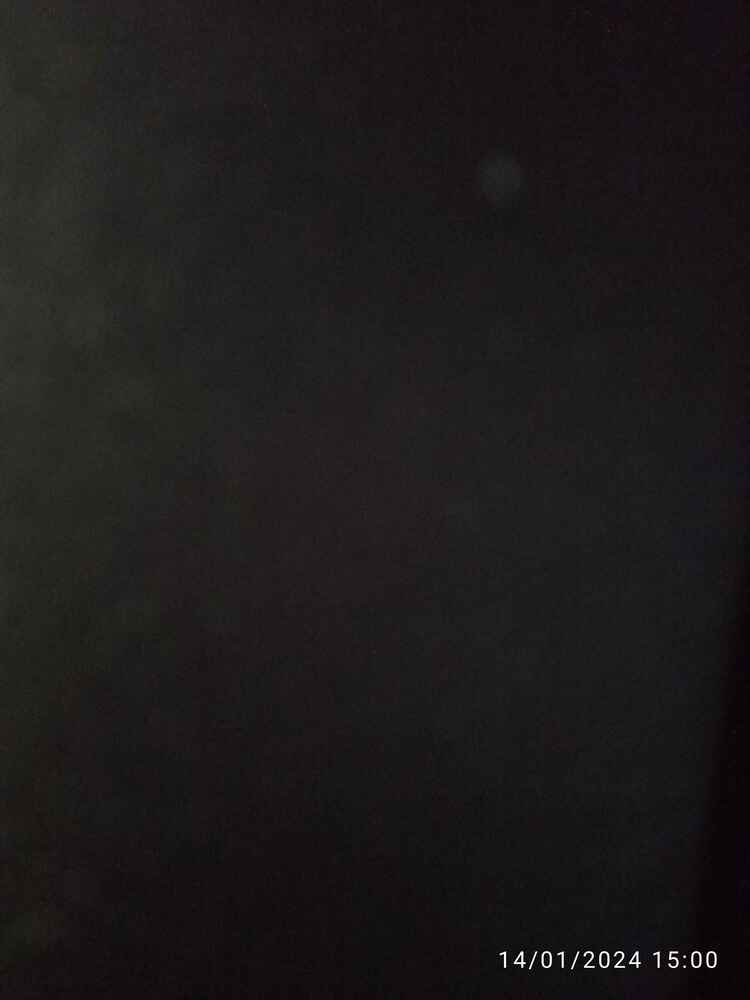 kedilerin bayılarak yiyor