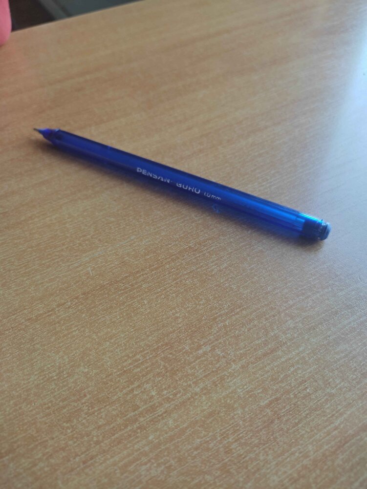 devamlı sokak hayvanlarına alıyorum güzel