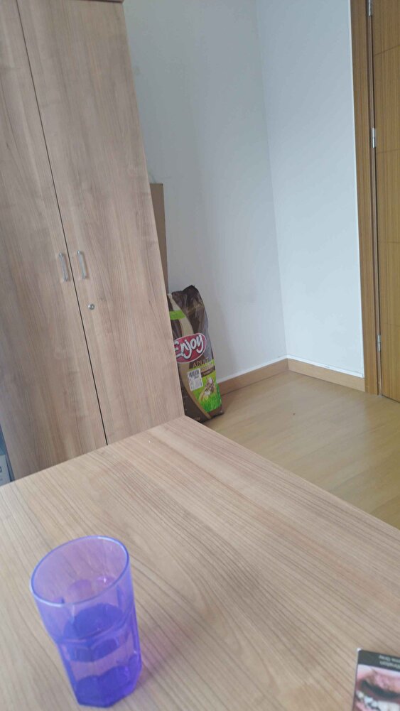 sokak kedilerine aldım gayet güzel yiyorlar