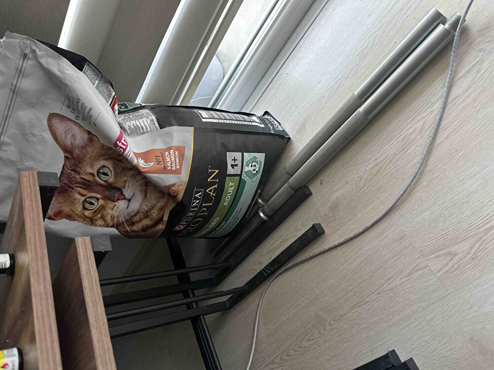 1850 ye aldım dışarıdan çok daha uygun