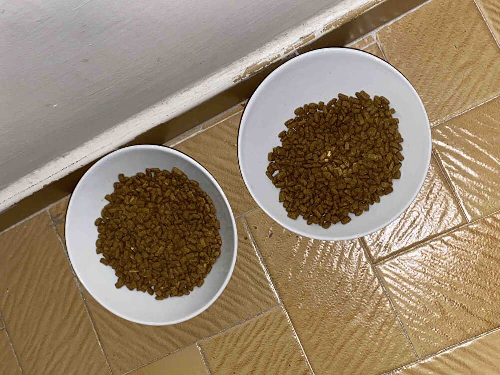 Bebeişler çok severek yiyorlar.