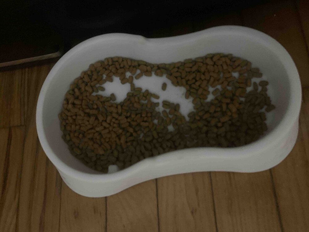 Kızlarım çok severek yiyorlar