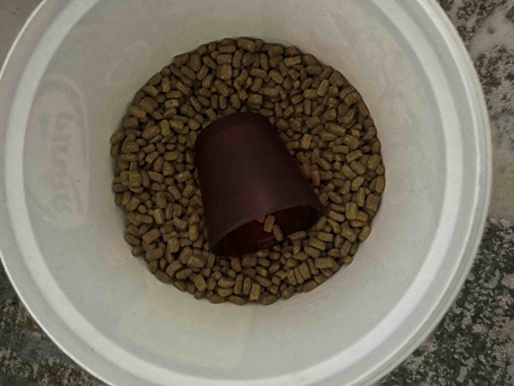 Kedim severek yiyor, sürekli aldığım bir marka.