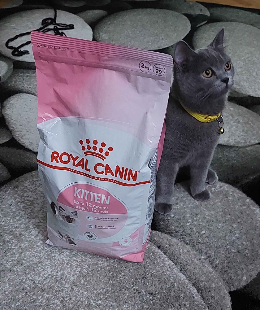 çok severek yiyor 😸🐾