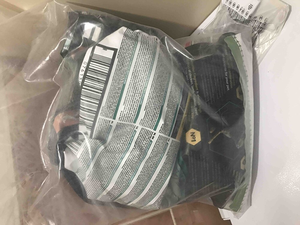 Kedim çok severek yiyor.