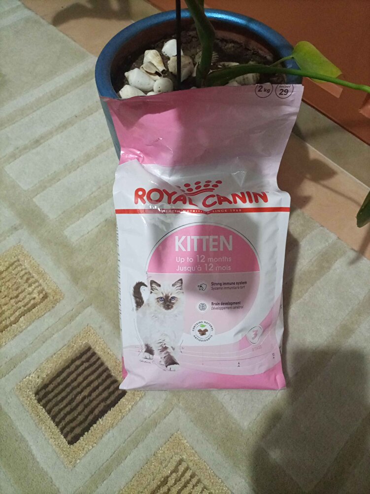 ürün çuvalda geldi patlama çatlama yok gayet sağlam geldi kargoda hızlıydı 2 güne geldi. teşekkürler.