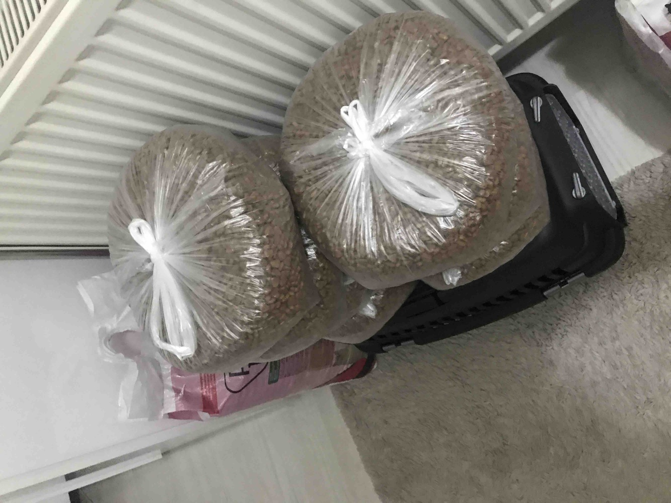 Her zaman ayda10 kilo alıyordum.Böyle daha karlıya geldi. Küçük poşetlere hazırlayıp arabama koyuyorum. Gittiğim her yerde illaki bir can karşıma çıkıyor ve besliyorum 🤗Afiyet olsun onlara 🤗