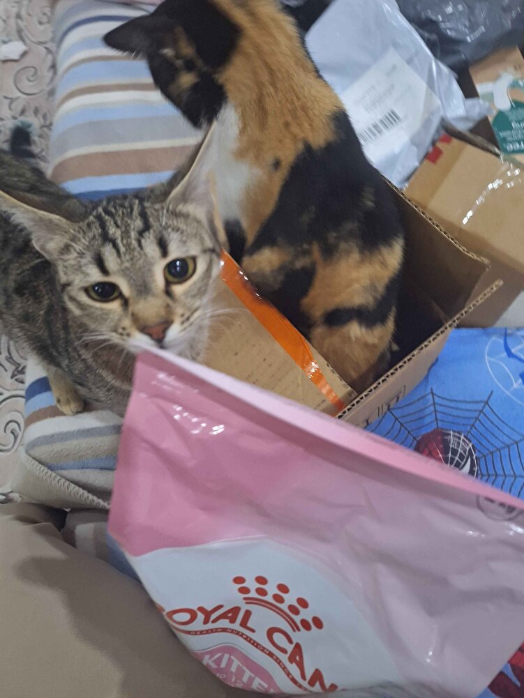 kalite kontrol tamamlandi