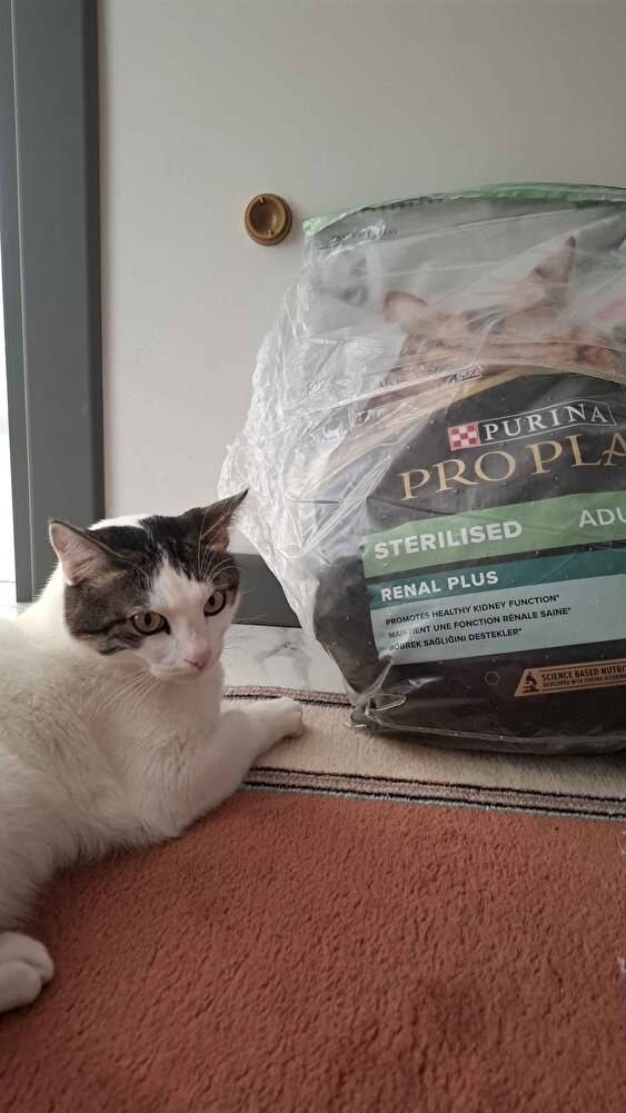 test edildi onaylandı uzmanımız 10 puan verdi