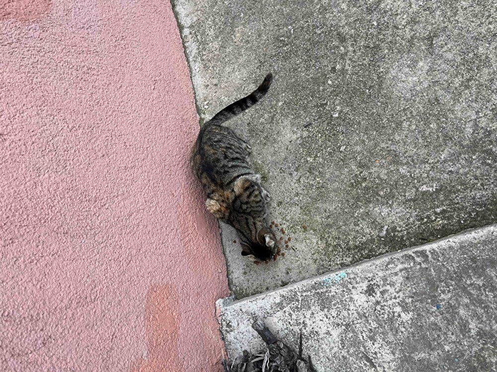 çok güzel paketlemişler