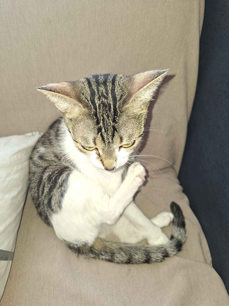 Hem güzel hemde uygun