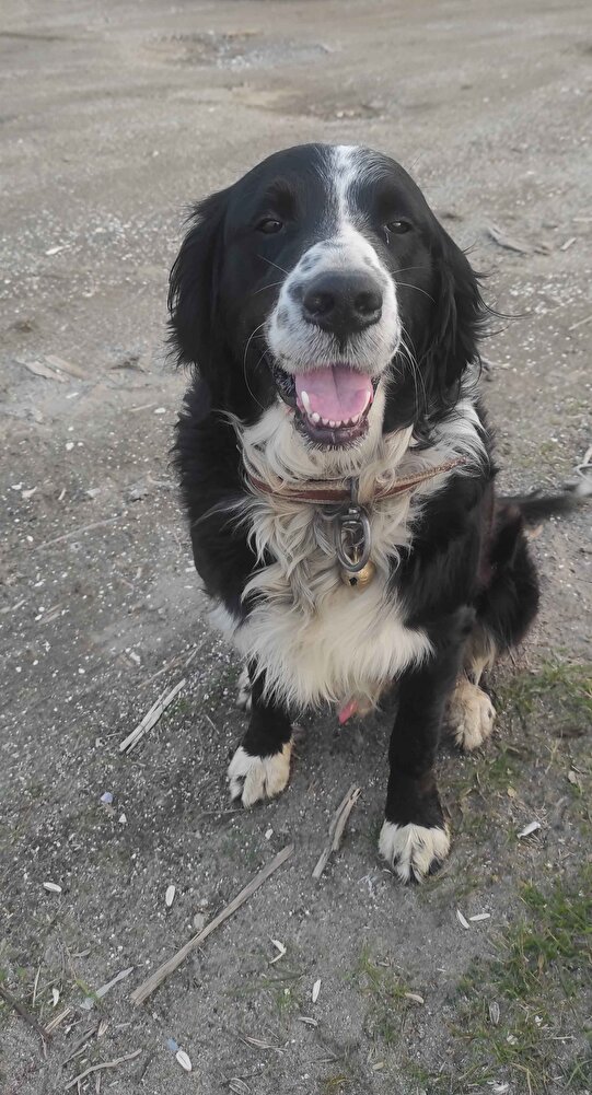 ürün özenli paketlenmiş, afiyetle yenilecek