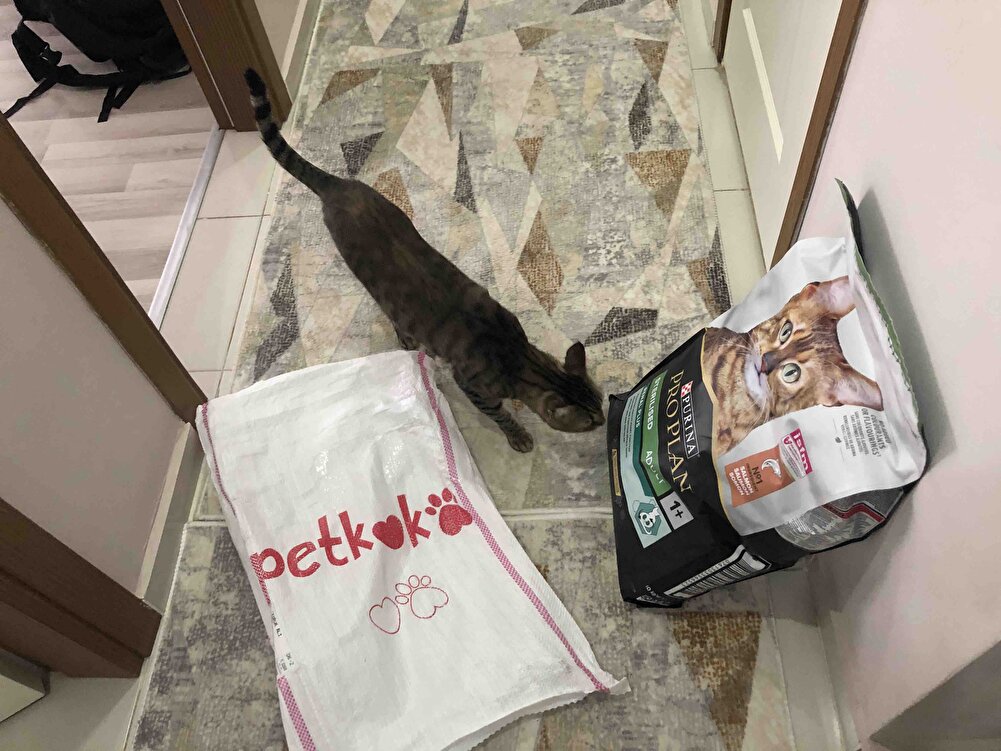 Mia  bunu sevdi ayrıca Hızlı geldi paketlemede güzel teşekkürler.