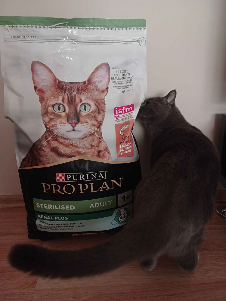 Hızlı bir şekilde elimize ulaştı. Pakettede yırtık vb yoktu. Teşekkürler