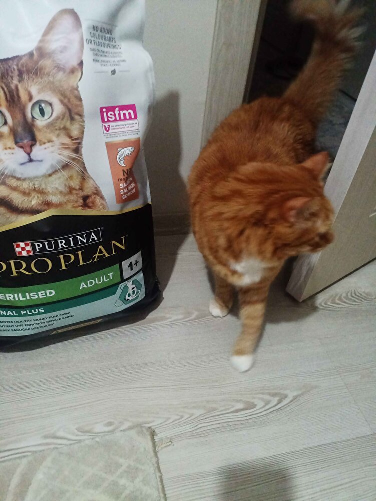 ürün çok iyi kedilerim severek yiyor inşallah fiyatı çok artmaz