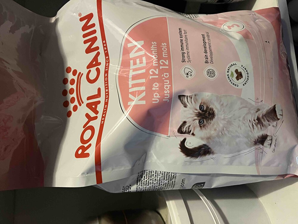 Yeni başladığımız bir ürün 6 aylık British Shorthair cinsi kedim severek yiyor.