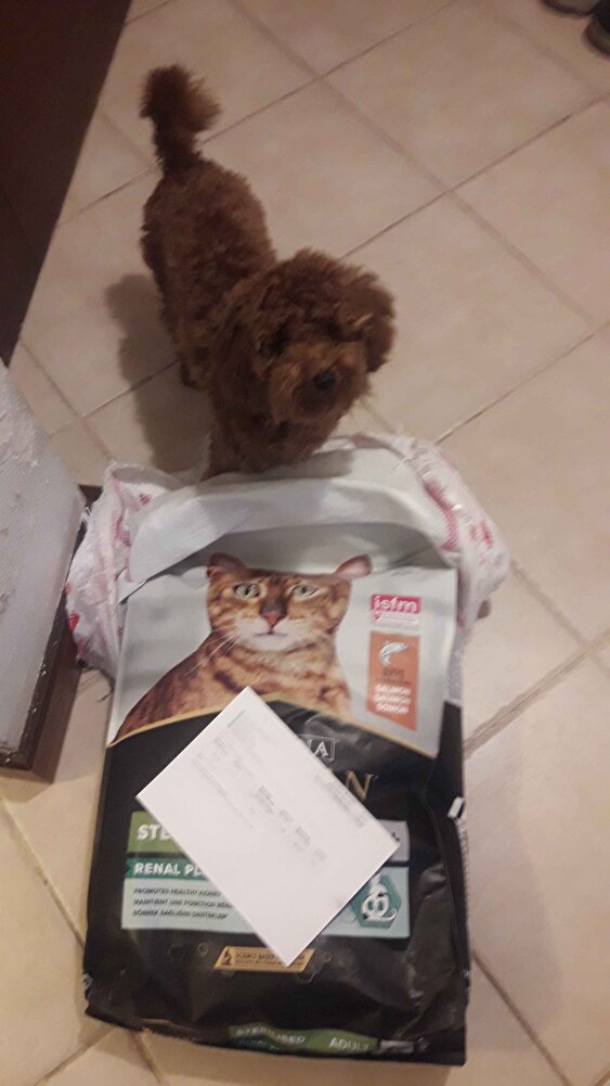 En sevdiğimiz mama. Dışkı da koku yapmaz, kedileri kusturmaz, kilo aldırmaz. Ömür uzatır. En temiz mama. Çok güzel paketlenmiş, dörtte bir fiyatına uzuza satın aldım. Teşekkür ederim.