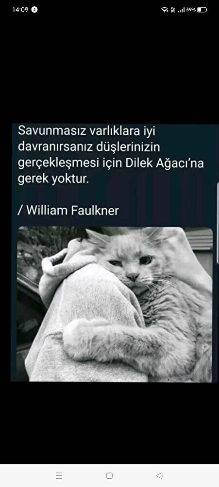 her zaman aldığım ürün kedim severek yiyor sokaktaki can dostlarımız için de kullanıyorum paketi saglam geldi