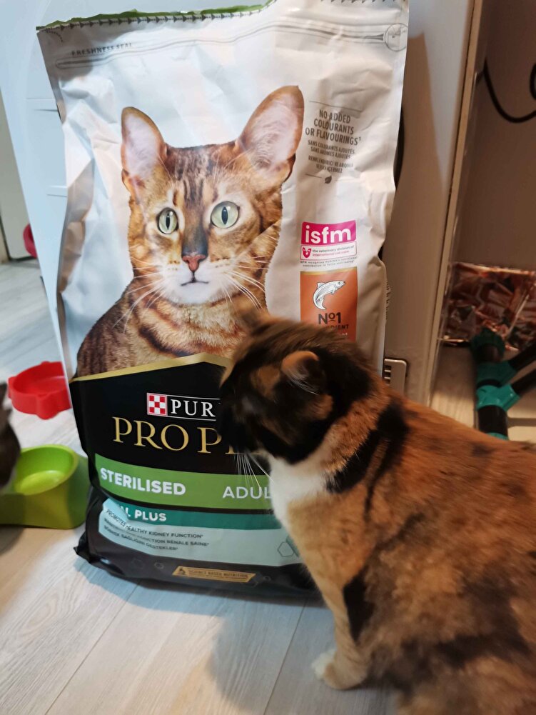 Bir günde elime ulaştı, satıcıya çok teşekkür ederim. İlk kez aldım. Küçük taneli, kedilerim çok bependi.