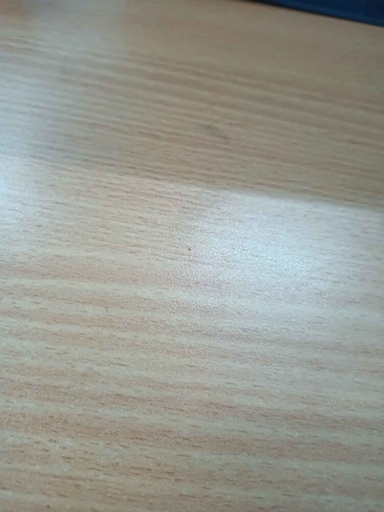 Beğendik alınabilir