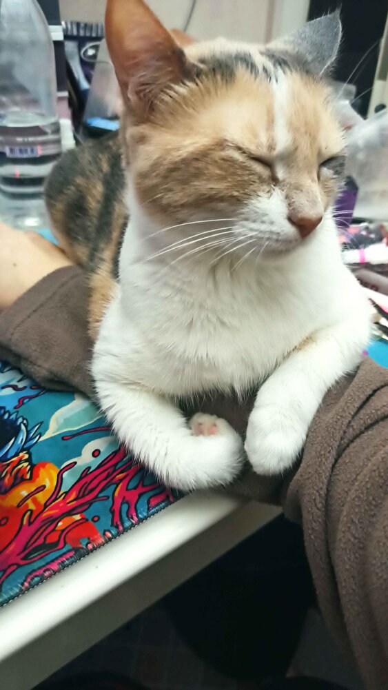 Bebeklerim için 2 3 ay yetiyor