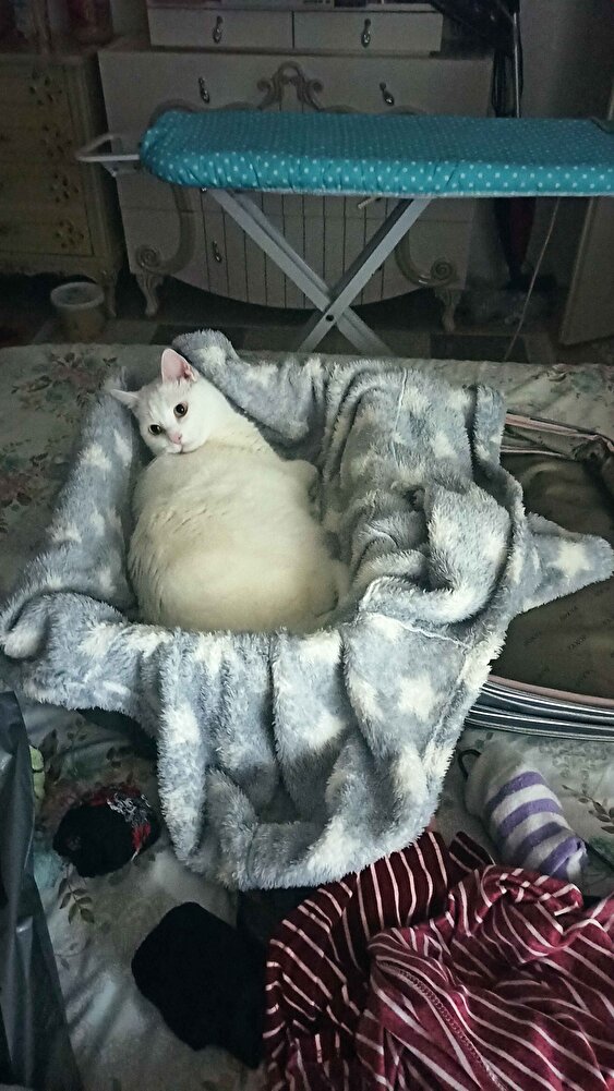 Bebeklerim için 2 3 ay yetiyor