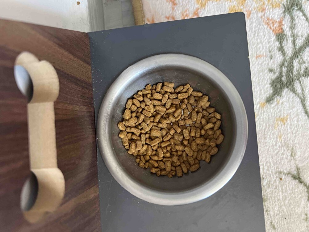 Kedime kilo aldıran bir mama