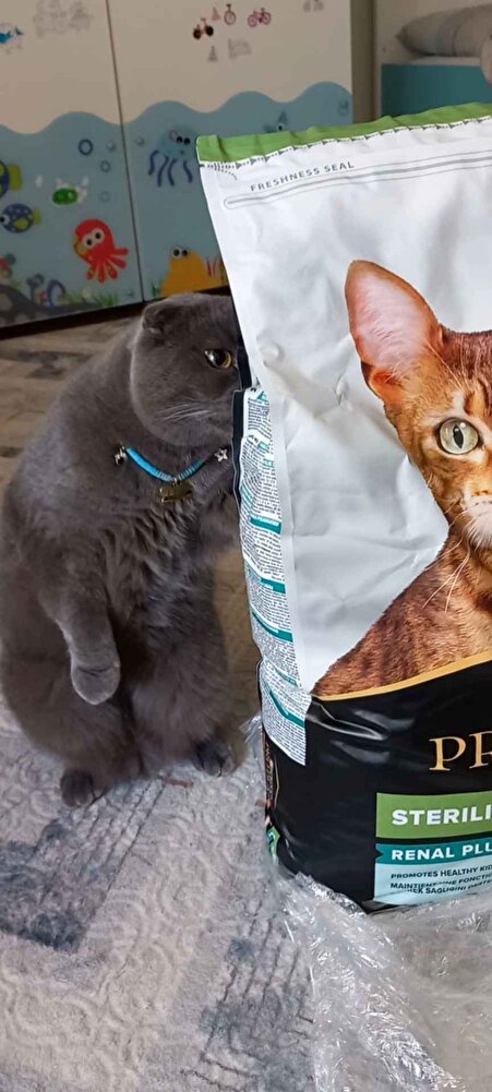 Satıcı ilgili. Sürekli buradan alıyorum. Güvenerek alabilirsiniz Piyasaya göre en uygun fiyat