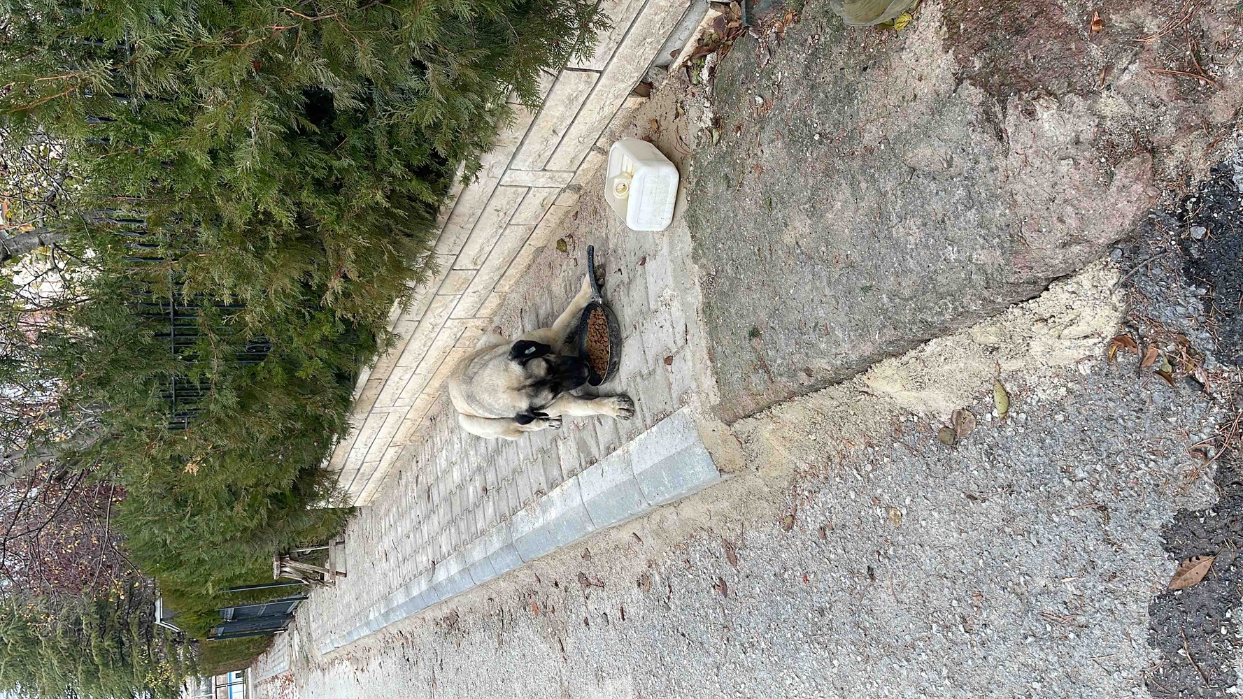 Kargo biraz yavaş onun dışında çok memnunum kaç kere sipariş verdim