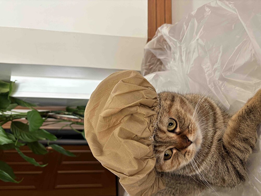 Kızımın severek yediği maması