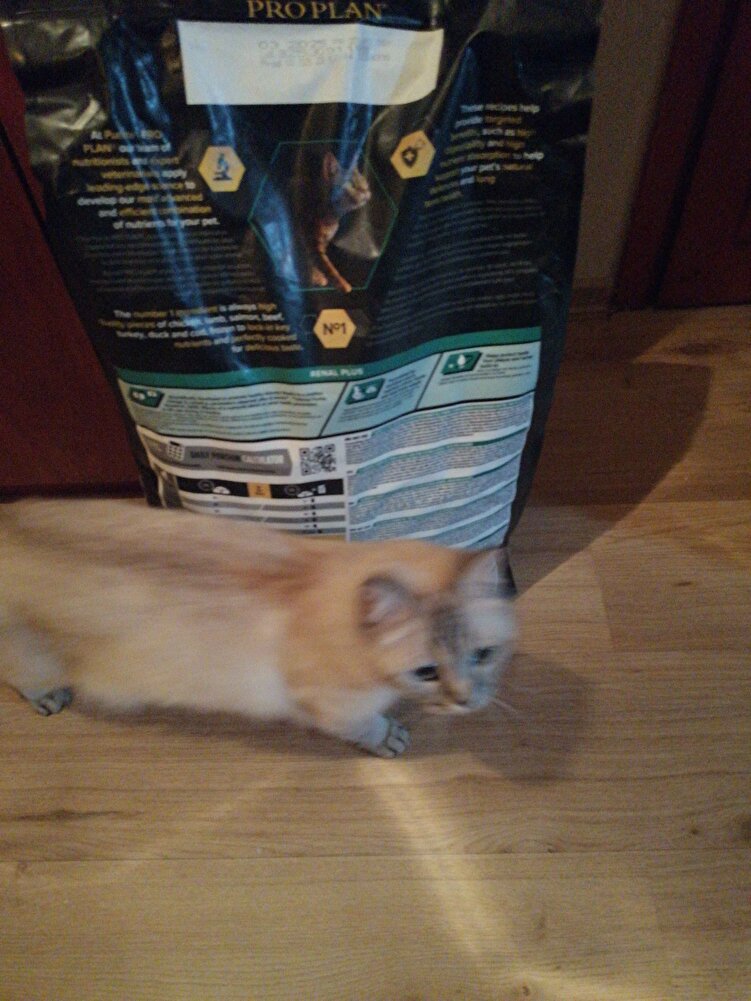 Ürünü Kedilerim uzun zamandır severek tüketiyor. Ama bilhassa satıcıya çok tesekkür ederim son kullanma tarihi 2025 yollamış. İlgi ve alakaya tesekkürler.