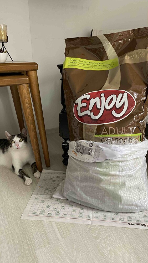 Sokaktaki bebekler için alıyorum😌 2. Siparişim çok memnunum hepsi de bayıla bayıla yiyor kargoda çok hızlı teşekkürler 💕